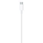 USB-C to Lightning Cable (2m) 4299